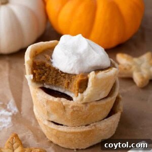 Mini pumpkin pies, showcasing their individual charm and festive appeal.