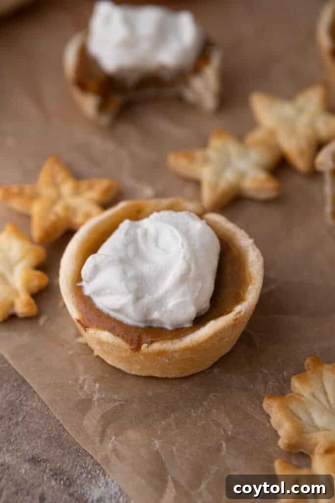 A diagonal overhead shot of a perfectly baked whole mini pumpkin pie, highlighting its smooth, creamy filling and golden, crimped crust edges.