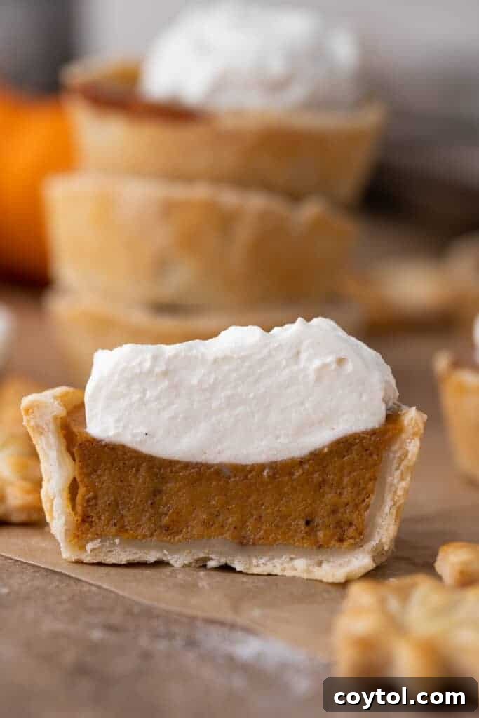 A mini pumpkin pie cut in half, revealing its smooth, creamy filling and flaky crust texture.