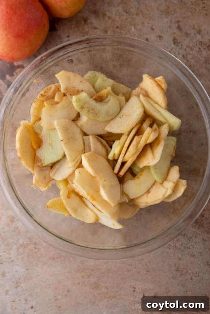 Sliced apples with spices in a bowl