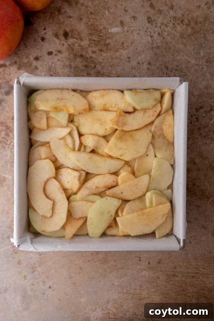 Sliced apples on top of shortcrust in a pan
