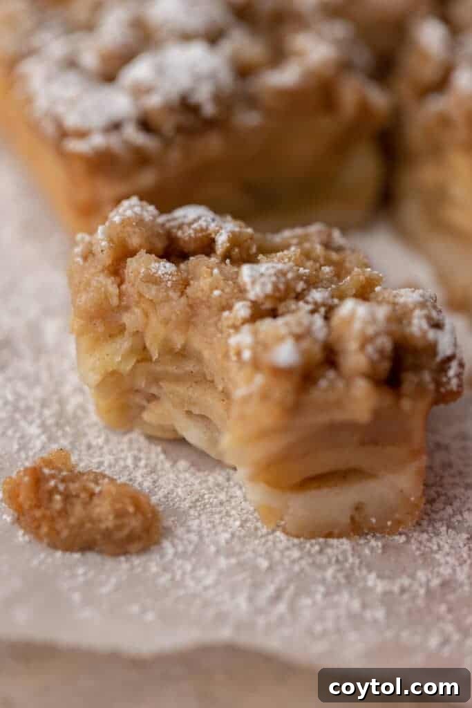 dutch apple pie bar with bite taken out of it