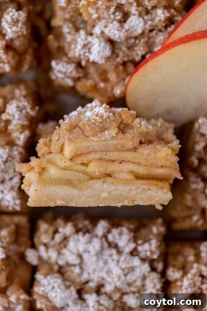 side view of dutch apple pie bar 