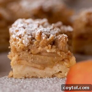Dutch apple pie bars recipe