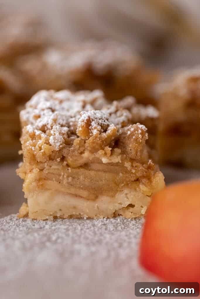 Dutch apple pie bars recipe