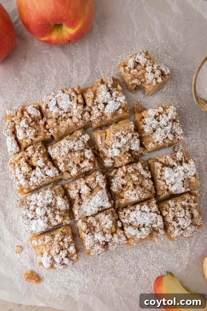 overhead shot of apple pie bars