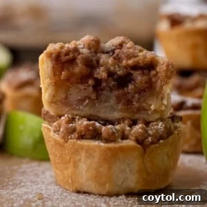 Mini Apple Pies