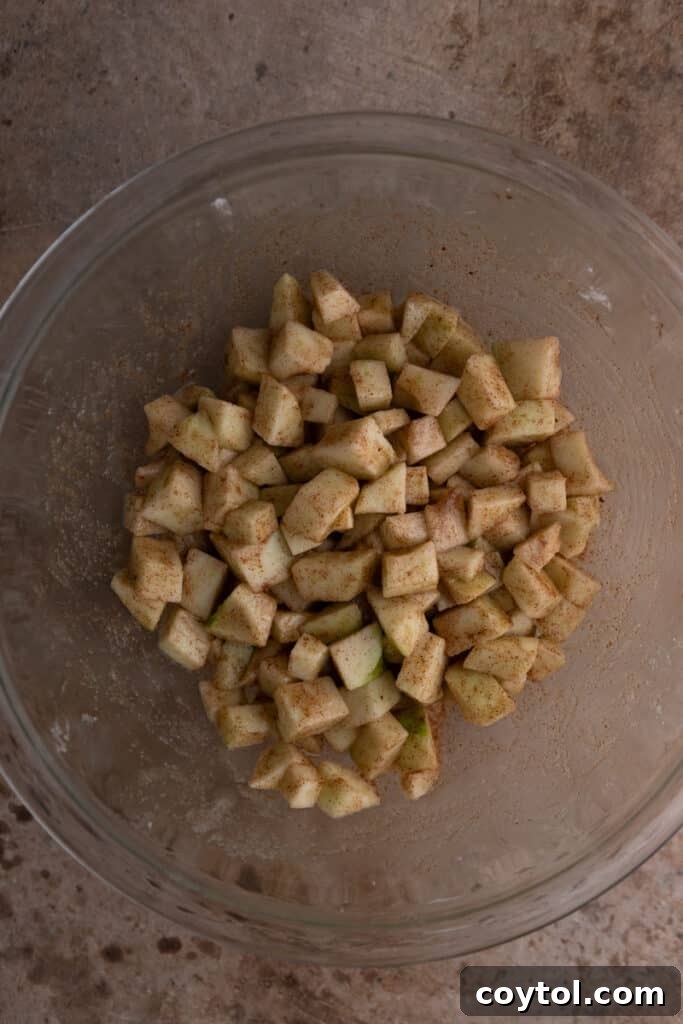 sliced apple coated in sugar and spices