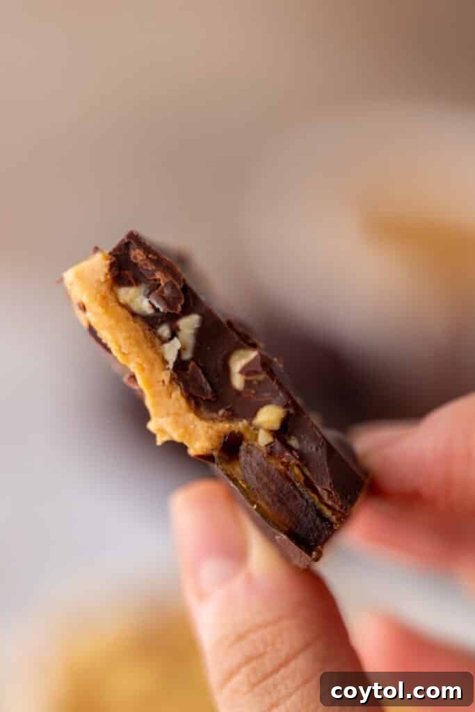 A hand holding a piece of date bark