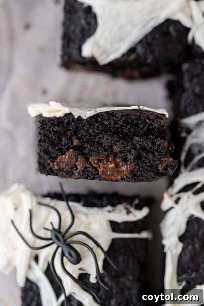 An overhead view of fudgy black cocoa powder brownies with a crinkly top.