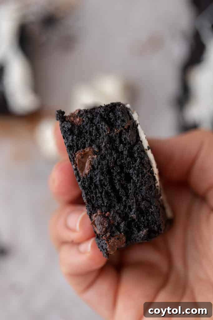 A hand holding a piece of black cocoa powder brownie.