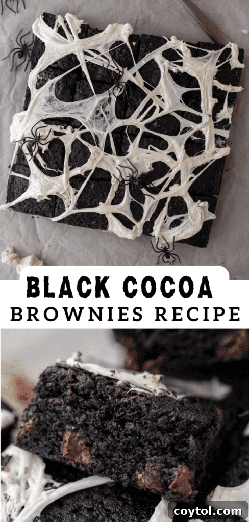 Artistic shot of black cocoa brownies, ideal for social sharing.