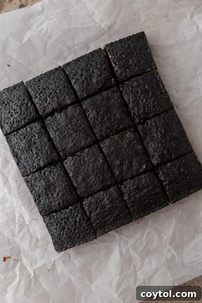 Freshly baked black cocoa powder brownies in the pan, still warm.