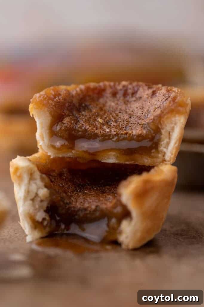 Classic Canadian Butter Tarts, golden brown with a gooey filling, arranged beautifully