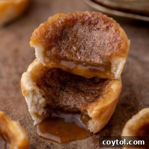 Canadian butter tarts