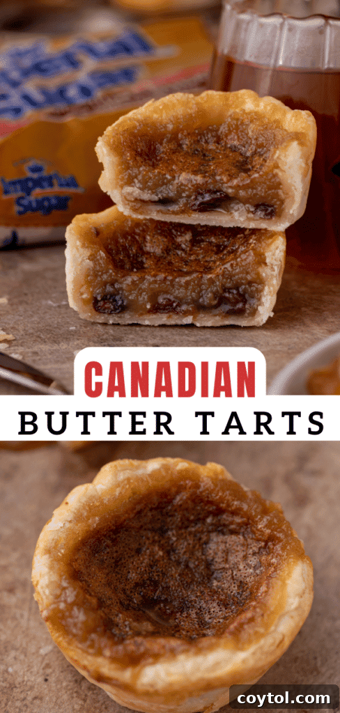 A top-down view of Canadian butter tarts in a muffin tin, garnished beautifully.