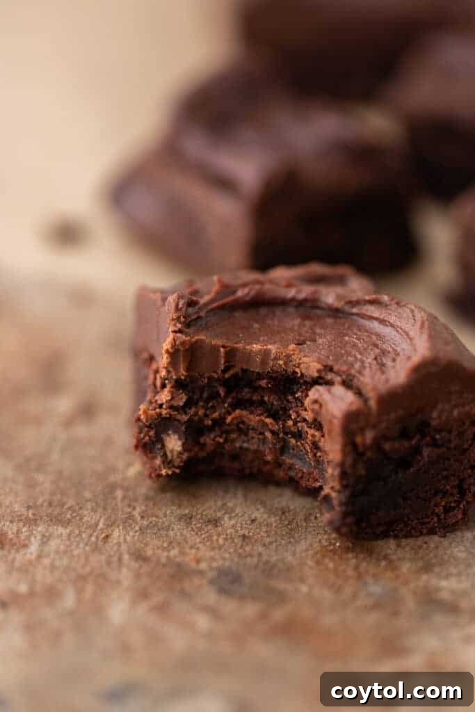 The 4-Minute Frosting Hack for Brownies 12 A delicious brownie with a bite taken out, showing the perfect texture of the brownie and its rich chocolate frosting.