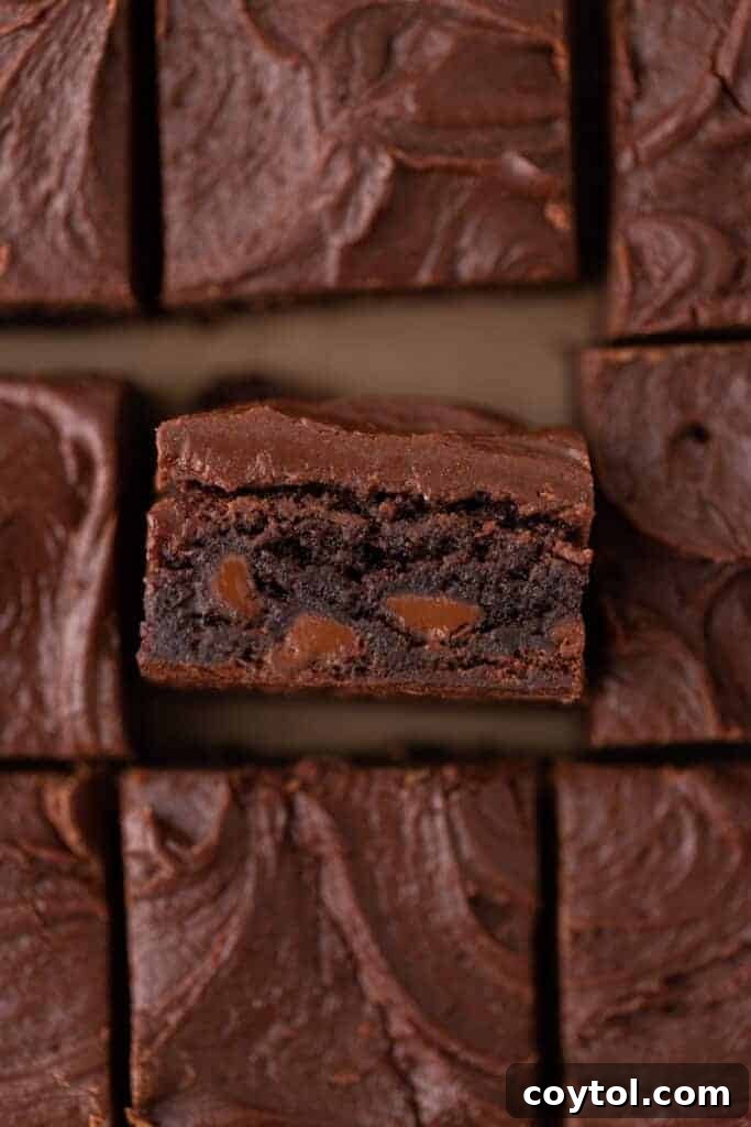 The 4-Minute Frosting Hack for Brownies 5 A single brownie, standing on its side, revealing its fudgy interior and potential for a delicious frosting.