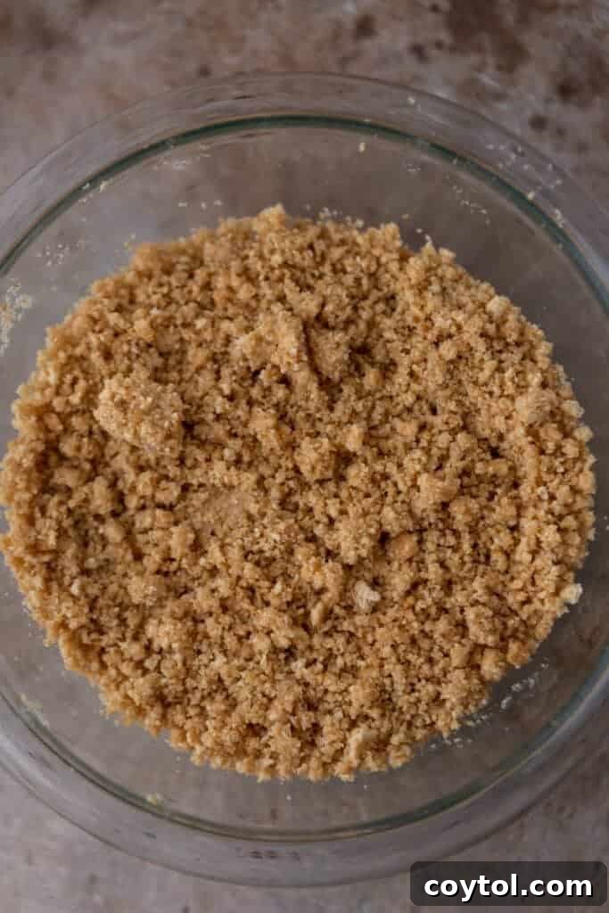 Graham cracker crust mixture in a bowl, ready to be pressed into the baking pan.