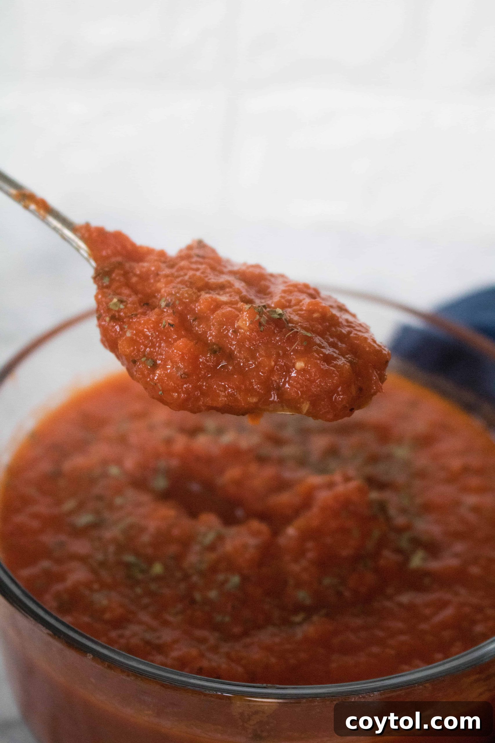 Fresh, homemade marinara sauce ready to be served