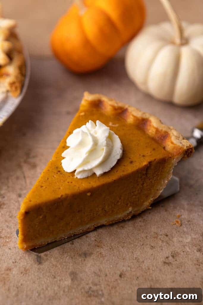 A beautiful slice of pumpkin pie resting on a spatula on a wooden table