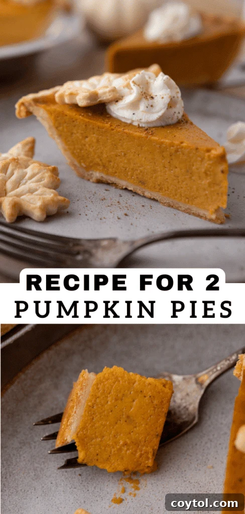 Two pumpkin pies, a perfect duo for holiday feasting