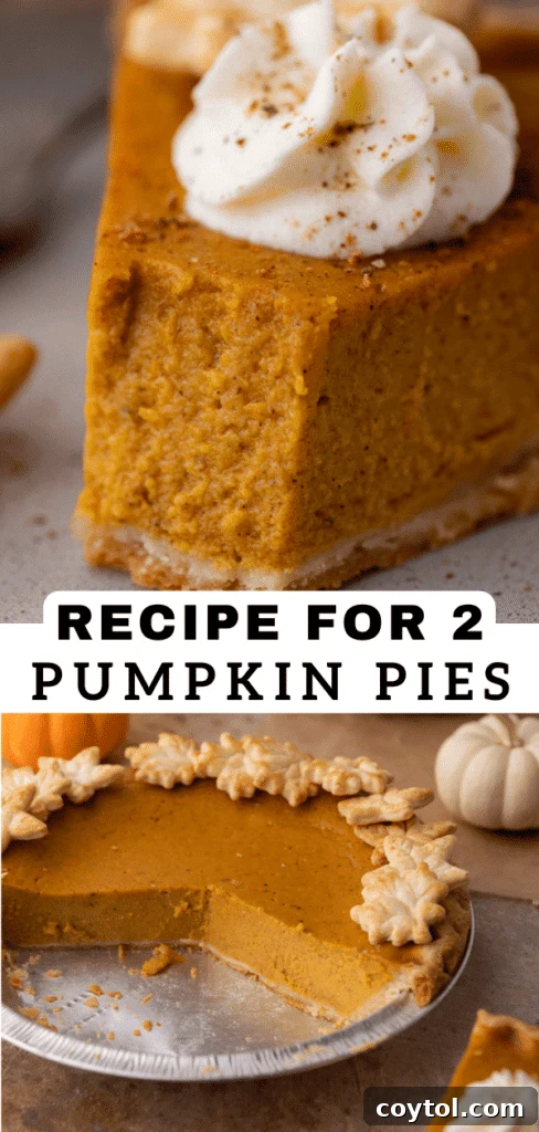 A pair of golden, spiced pumpkin pies, ready for any celebration
