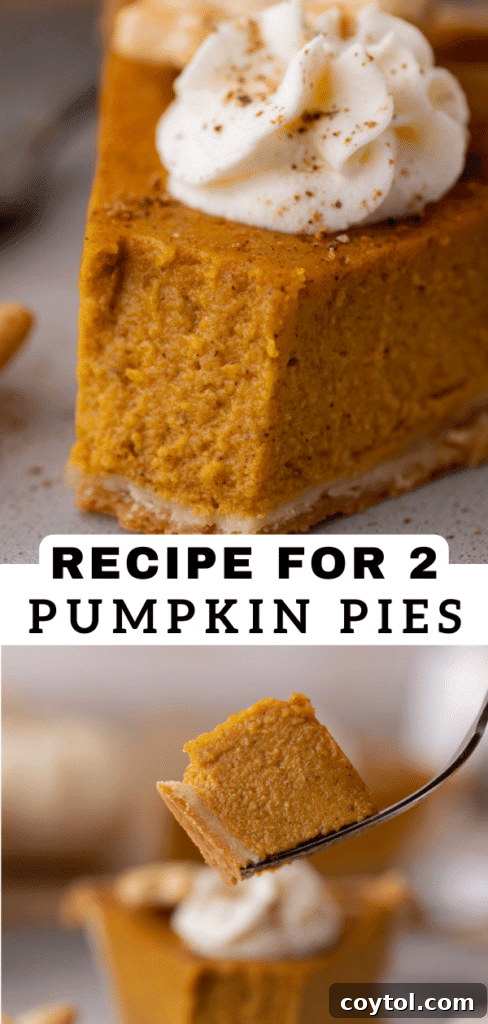 Homemade two pumpkin pies, a delightful holiday dessert