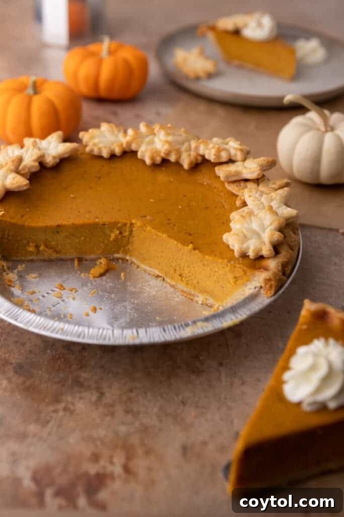 A golden-brown slice of pumpkin pie, perfectly baked and lifted by a spatula