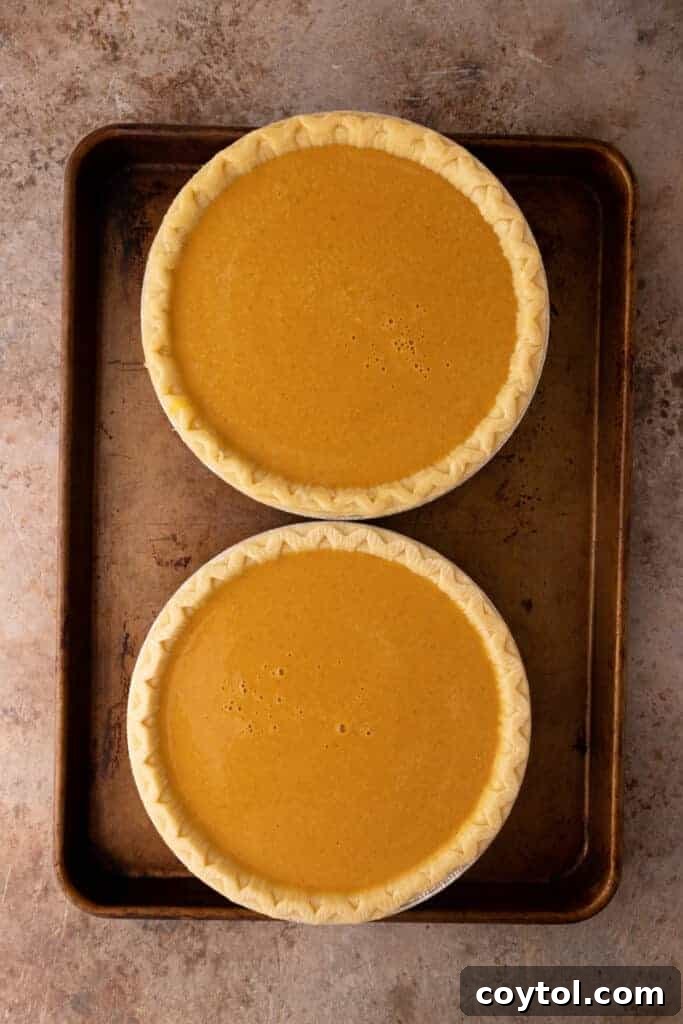 Two deep-dish pie shells perfectly filled with pumpkin mixture