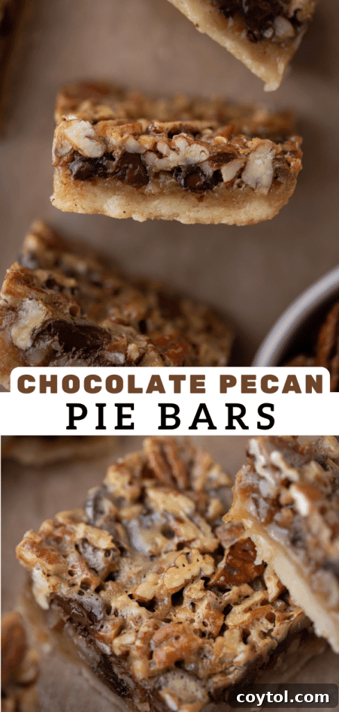 Artfully arranged chocolate pecan pie bars, ready for dessert