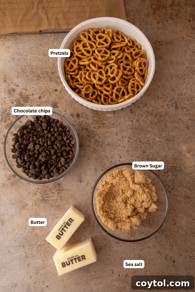 Ingredients laid out: pretzels, chocolate chips, brown sugar, butter, and sea salt. All essential for making sweet and salty pretzel crack.