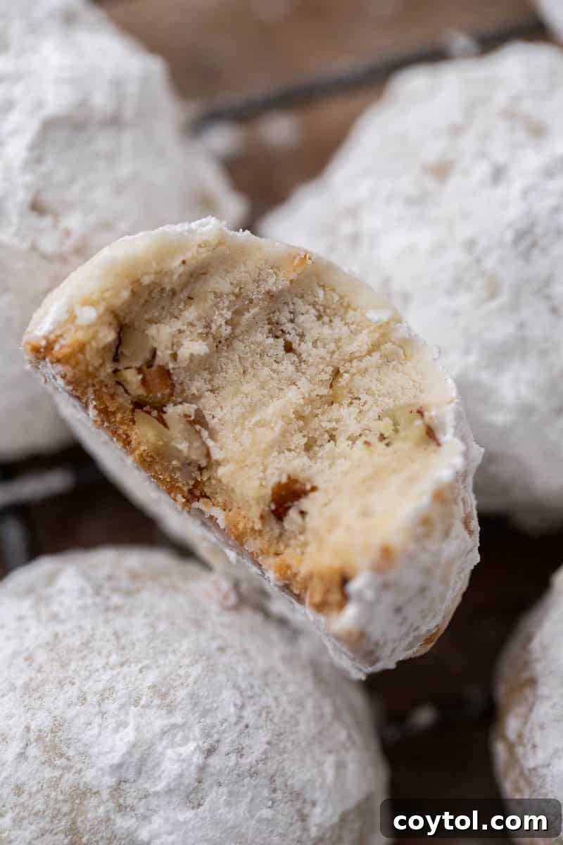 A close-up shot of a delicate snowball cookie, generously dusted with powdered sugar and revealing its nutty interior.
