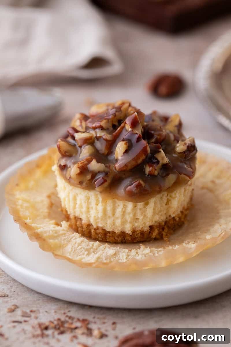 Individual mini pecan pie cheesecakes, one presented on an opened muffin liner, highlighting its intricate layers and beautiful topping.
