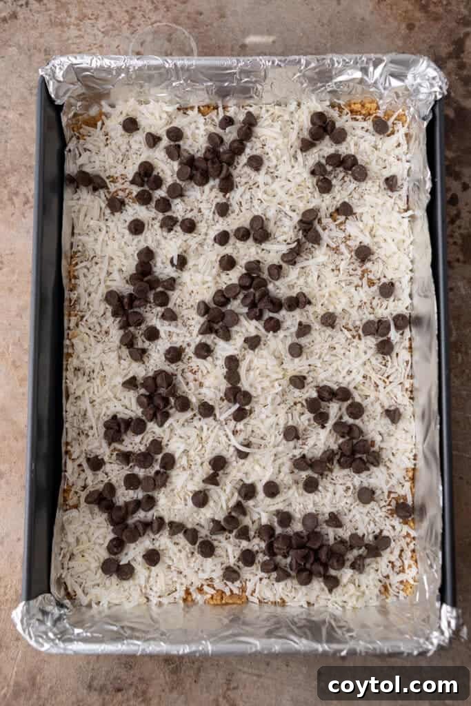 Coconut flakes and chocolate chips layered over a graham cracker crust