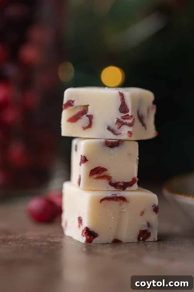 Three perfectly stacked squares of luscious Cranberry White Chocolate Fudge, showcasing its rich texture and colorful cranberry flecks.