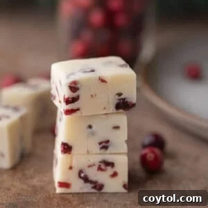 White chocolate cranberry fudge