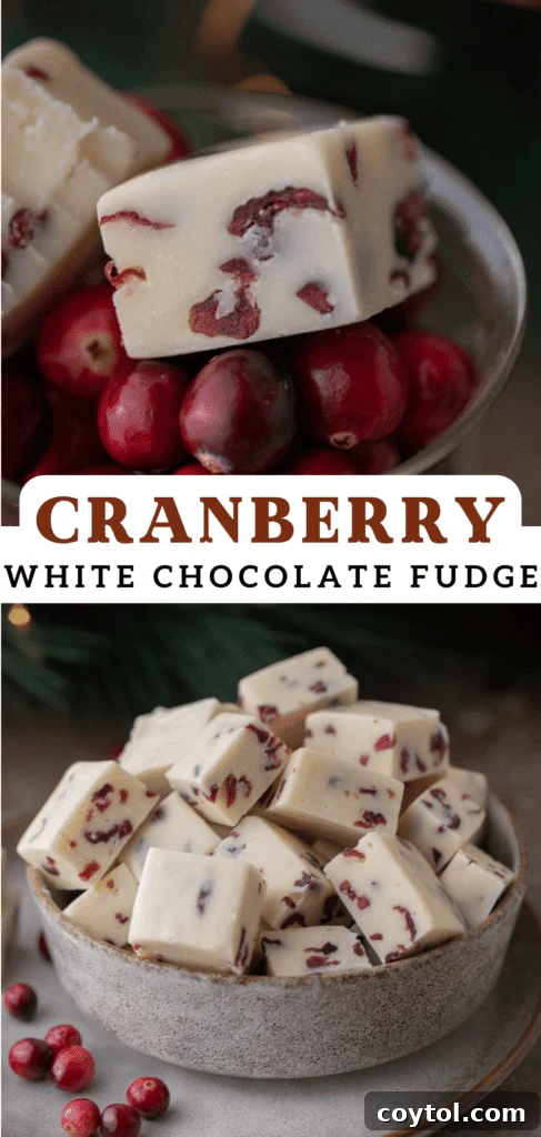 Pinterest pin graphic for cranberry white chocolate fudge recipe, featuring a festive image.