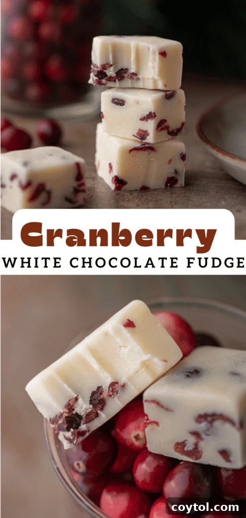 Another Pinterest pin image for white chocolate cranberry fudge recipe, highlighting its appeal.