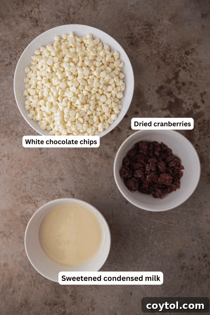Essential ingredients for crafting delicious cranberry white chocolate fudge, neatly arranged on a clean surface.