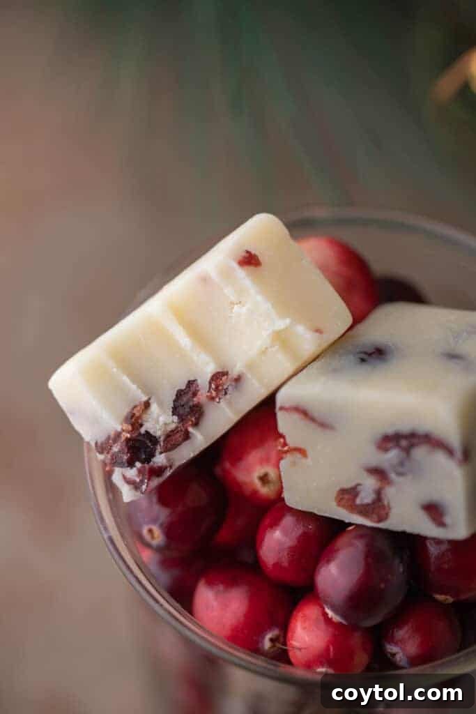 Perfectly cut white chocolate cranberry fudge squares nestled in a bowl, with a scattering of fresh cranberries for a festive touch.