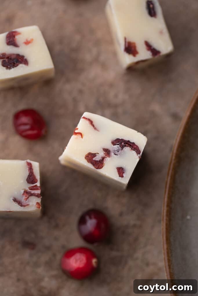 A close-up view of precisely cut fudge squares, revealing their smooth texture and vibrant cranberry pieces within.