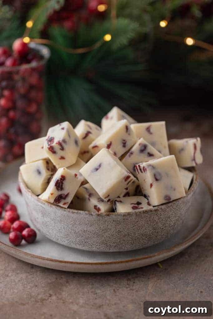 A generous bowl filled with squares of delightful white fudge, ready to be enjoyed.