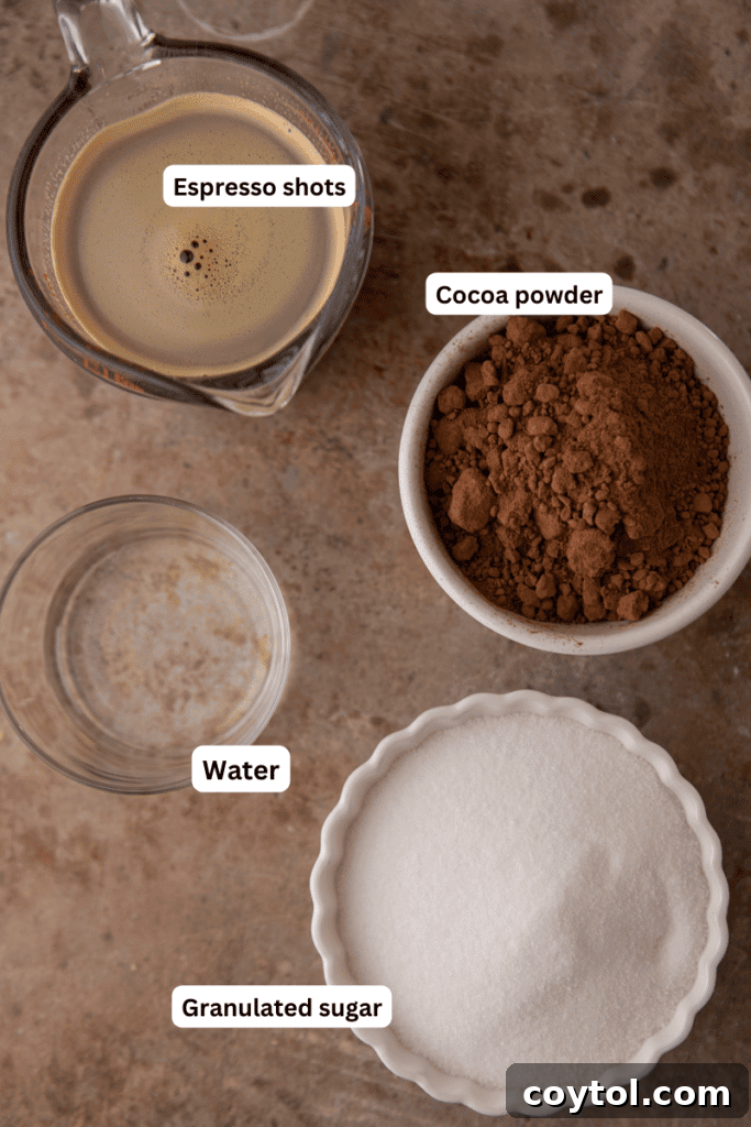 Whip Up Perfect Homemade Mocha Syrup 3 Fresh ingredients laid out for making mocha coffee syrup, including cocoa powder, coffee, sugar, and vanilla extract.