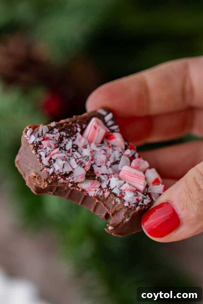 A square of peppermint fudge with a bite taken out of it being held up by a hand, showcasing the rich chocolate and vibrant peppermint pieces.