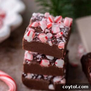 Peppermint fudge Recipe