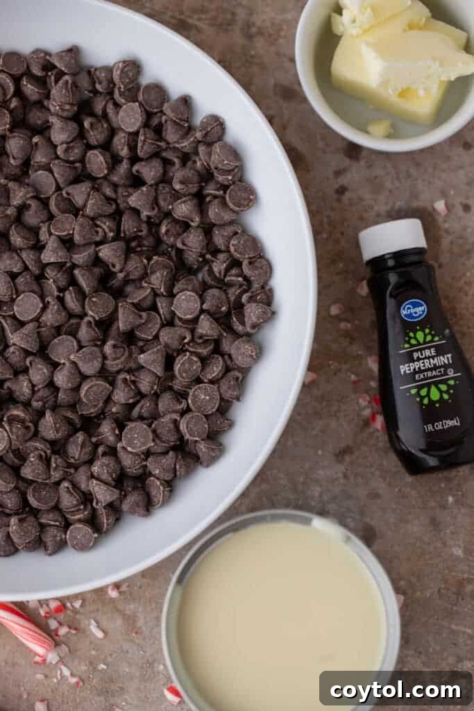 A collection of fresh ingredients laid out on a surface, ready for making the peppermint fudge recipe.
