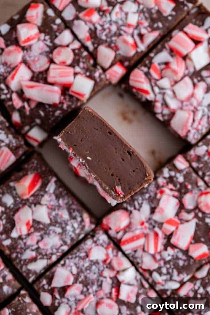 A group of sliced chocolate peppermint fudge squares, with one flipped on its side to show the interior.