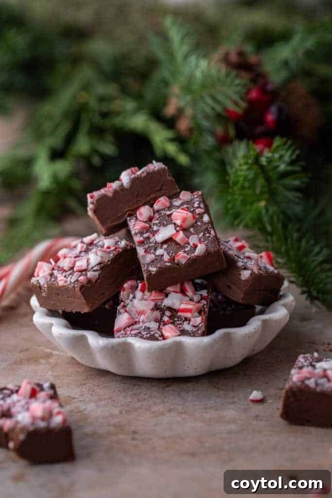 A bowl filled with rich chocolate peppermint fudge, ready to be served.