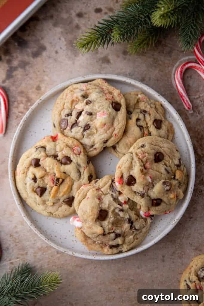 A plate brimming with festive peppermint chocolate chip cookies, adorned with crushed candy canes and chocolate.
